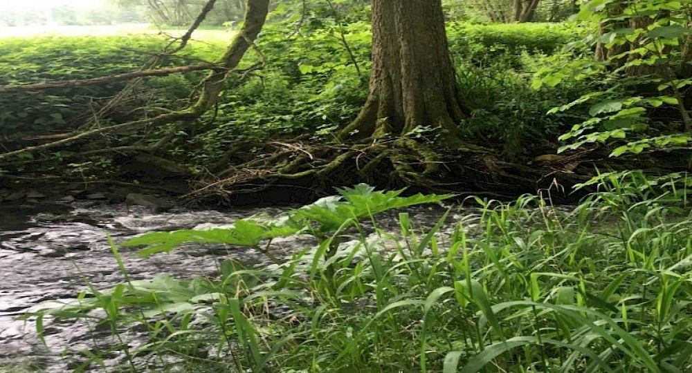 Der Natur ein St&uuml;ck n&auml;her