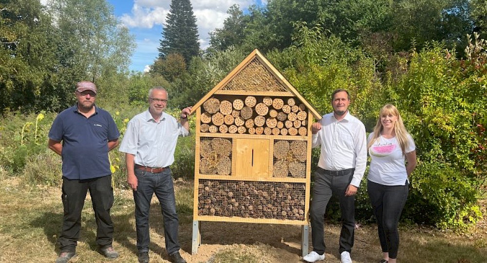 Die EAM f&ouml;rdert den Schutz von Insekten