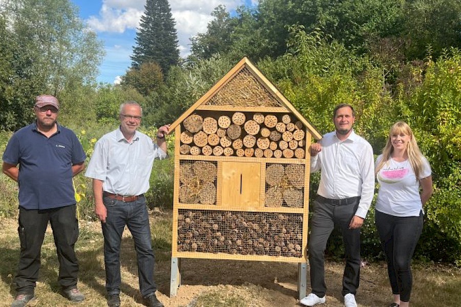 Die EAM f&ouml;rdert den Schutz von Insekten