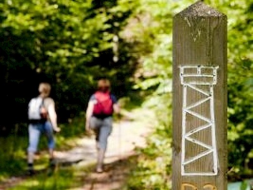 Wandern im Kellerwald