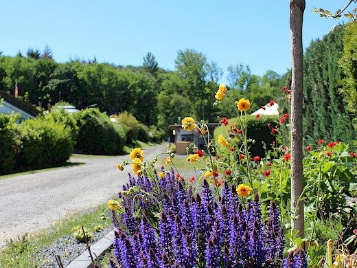 Campingplatz Kellerwald