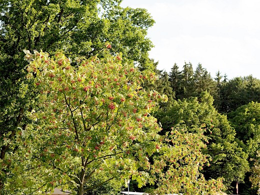 Campingplatz Kellerwald