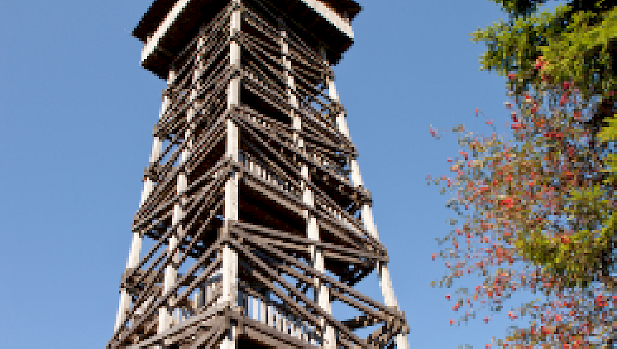 Kellerwaldturm auf dem W&uuml;stegarten