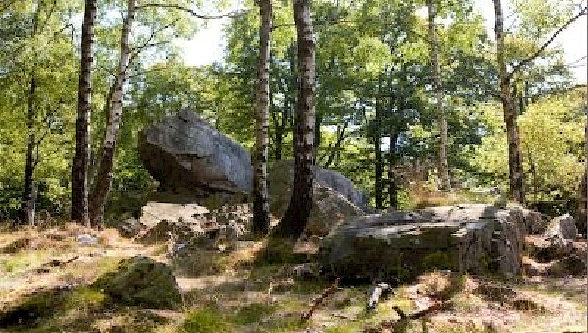 Mausefalle am W&uuml;stegarten