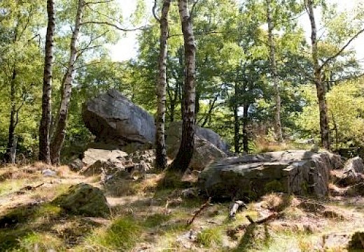 Mausefalle am W&uuml;stegarten