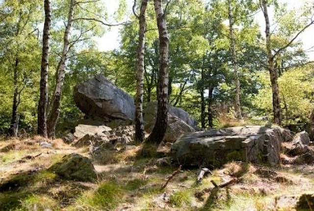 Mausefalle am W&uuml;stegarten