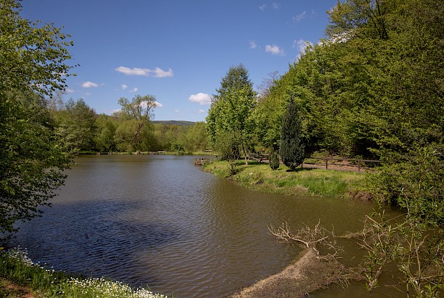 Angelteich in Hundshausen