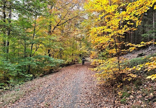 Naturpark Kellerwald