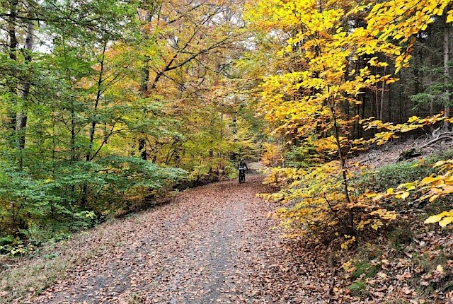 Naturpark Kellerwald