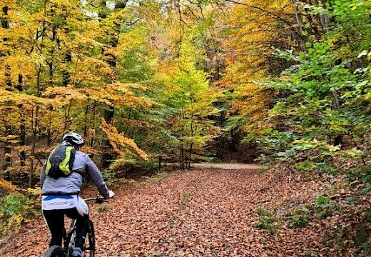 Rund um Jesberg Tour