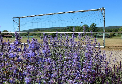 Sportplatz im Freizeitzentrum